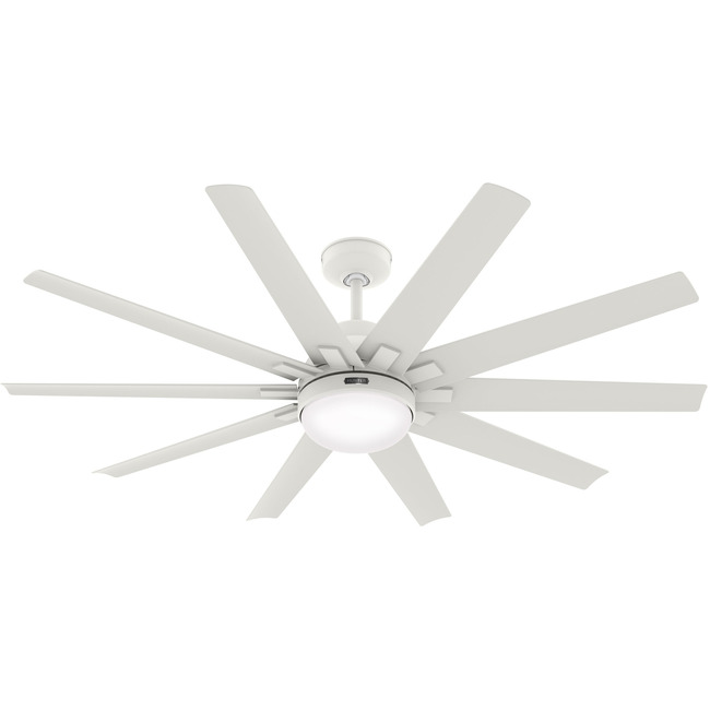 Overton Outdoor Ceiling Fan with Light by Hunter Fan