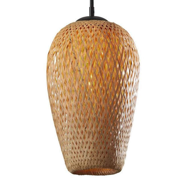 Hugo Pendant by Adesso Corp.