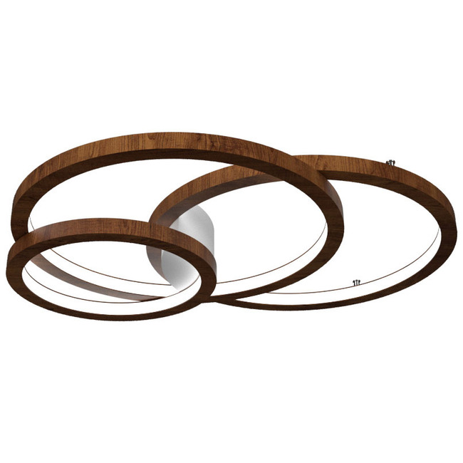 Frame Rings Ceiling / Wall Mount by Accord Iluminacao