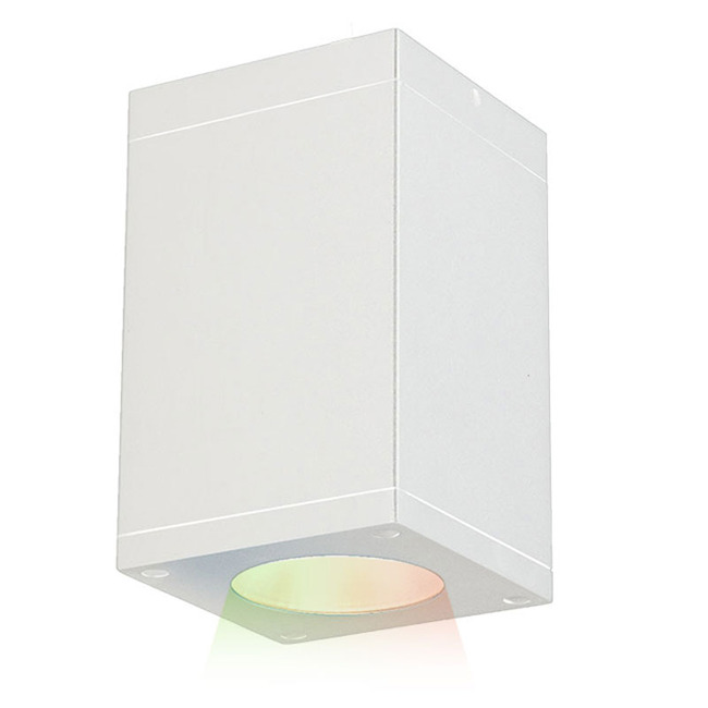 Cube Architectural Outdoor Color Tunable Ceiling Light by WAC Lighting