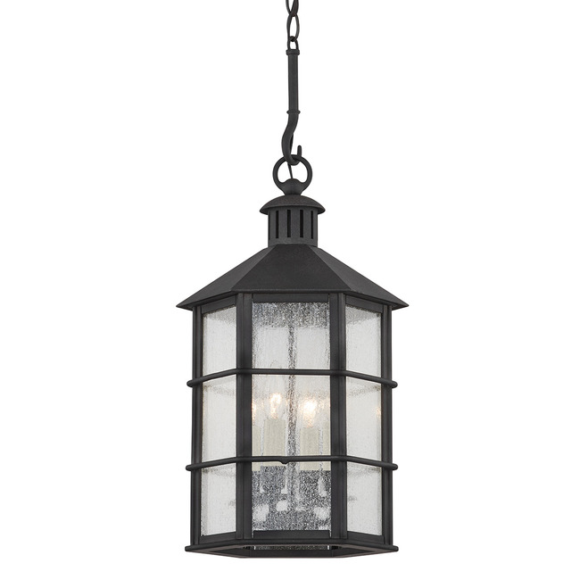 Lake County Outdoor Pendant by Troy Lighting