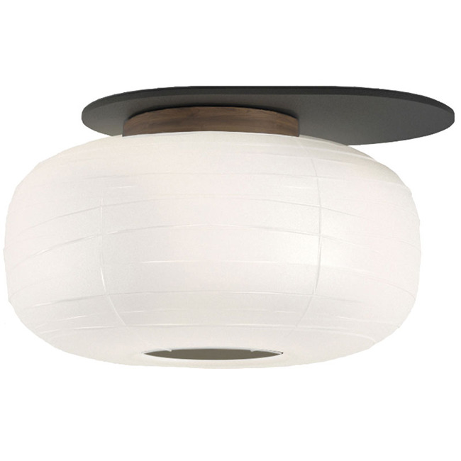 Misko C15 Ceiling Light / Wall Sconce by B.lux