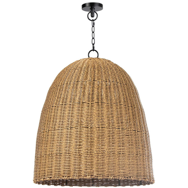 Coastal Living Beehive Outdoor Pendant by Regina Andrew