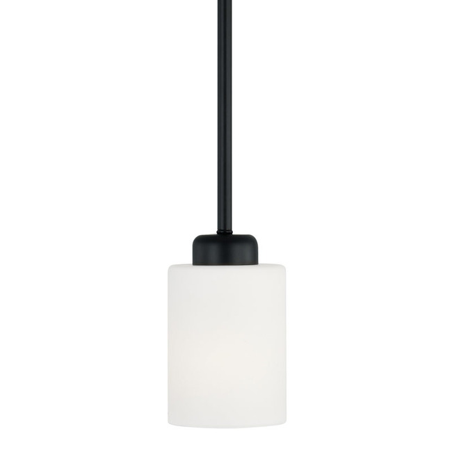 Dixon Pendant by Capital Lighting