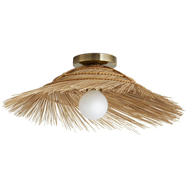 Hayes Ceiling Light / Wall Sconce by Arteriors Home