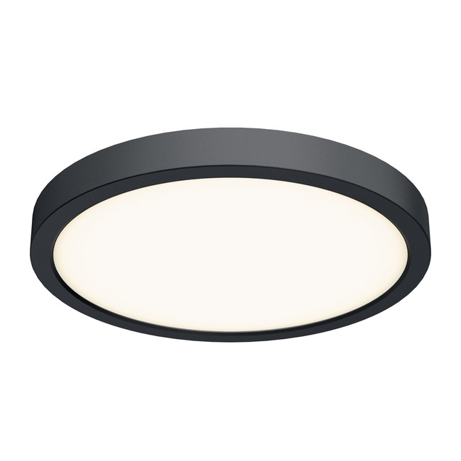 Delta Color Select Round Outdoor Wall / Ceiling Light by DALS Lighting