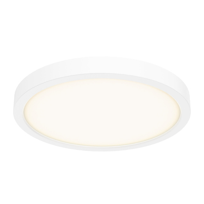 Delta Color Select Round Outdoor Wall / Ceiling Light by DALS Lighting