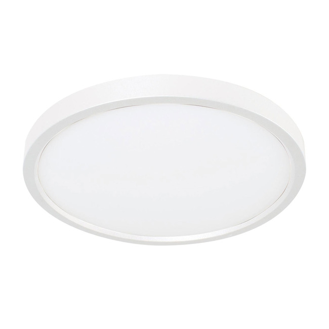 Edge Color-Select 120V Ceiling Light by AFX