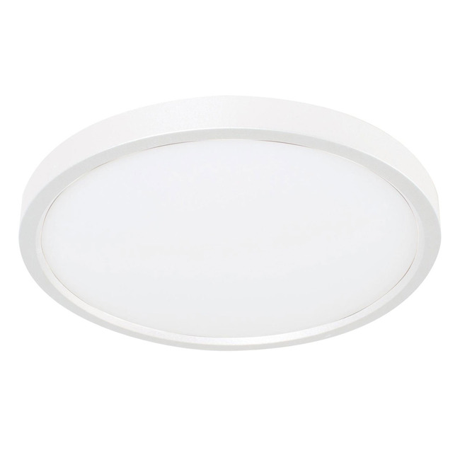 Edge Color-Select 120V Ceiling Light by AFX