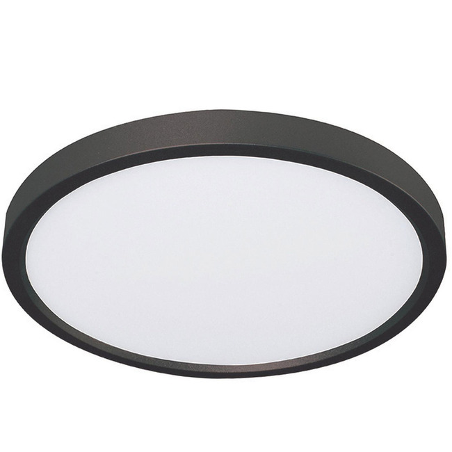Edge Color-Select 120V Ceiling Light by AFX