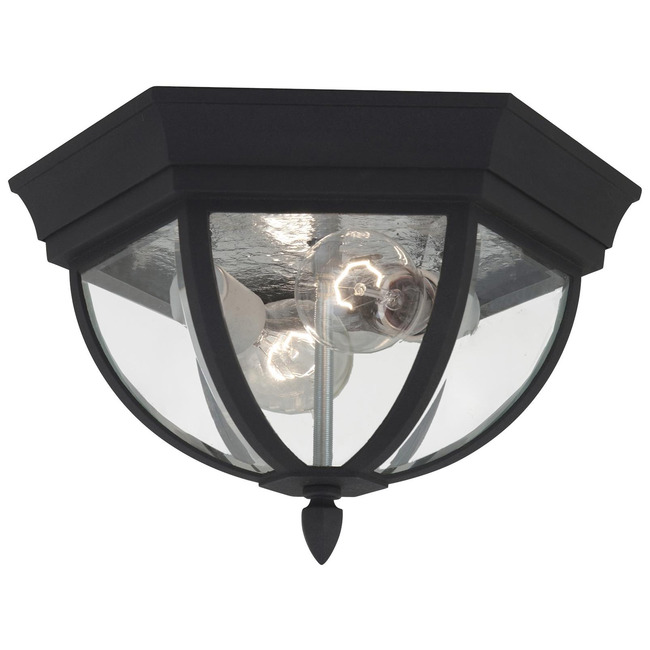 Wynfield Outdoor Ceiling Light Fixture by Generation Lighting