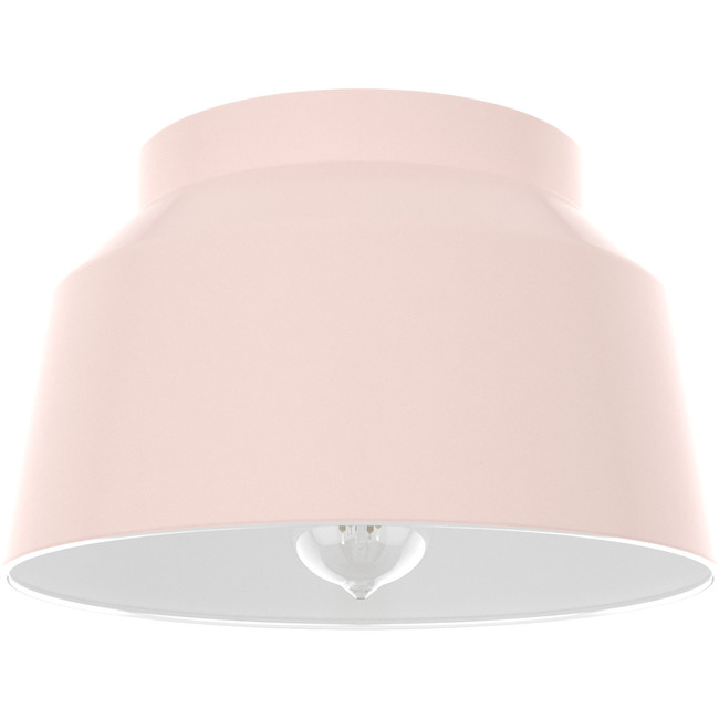 Cranbrook Ceiling Light by Hunter Fan