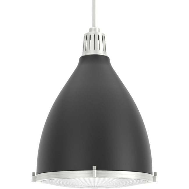 Bluff View Pendant by Hunter Fan