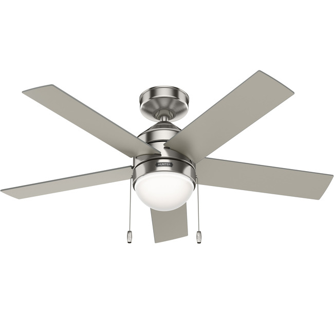 Rogers Ceiling Fan with Light by Hunter Fan