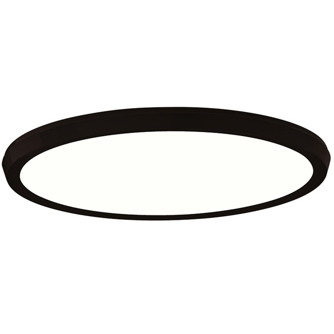 Argo Color Select Wall / Ceiling Light by Modern Forms