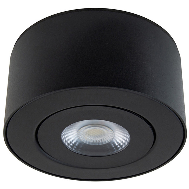 I Spy Color Select Outdoor Gimbal Ceiling Light by Modern Forms