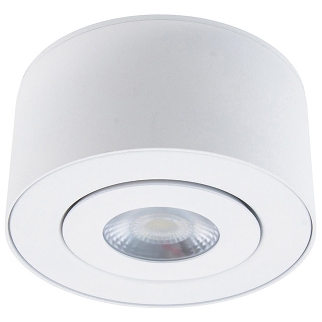 I Spy Color Select Outdoor Gimbal Ceiling Light by Modern Forms