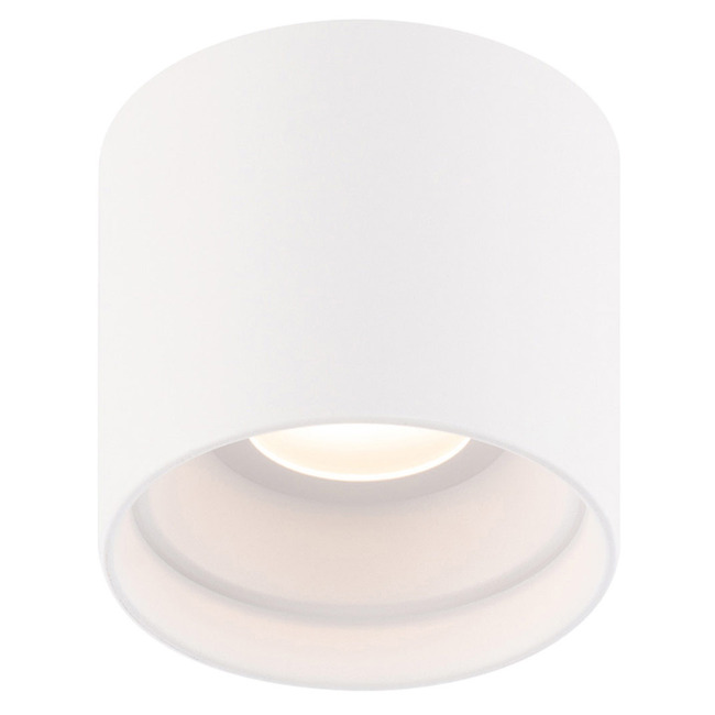 Downtown Round Outdoor Ceiling Light by WAC Lighting