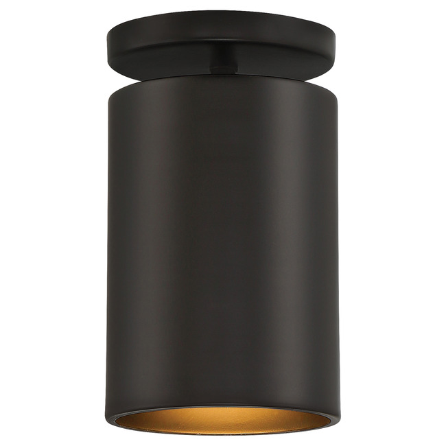 Pint Dark Sky Outdoor Ceiling Light Fixture by Access