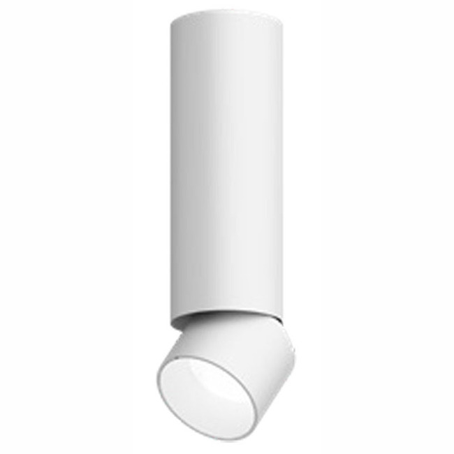Entra 2 Inch LED Adjustable Cylinder Ceiling Light by Visual Comfort Architectural