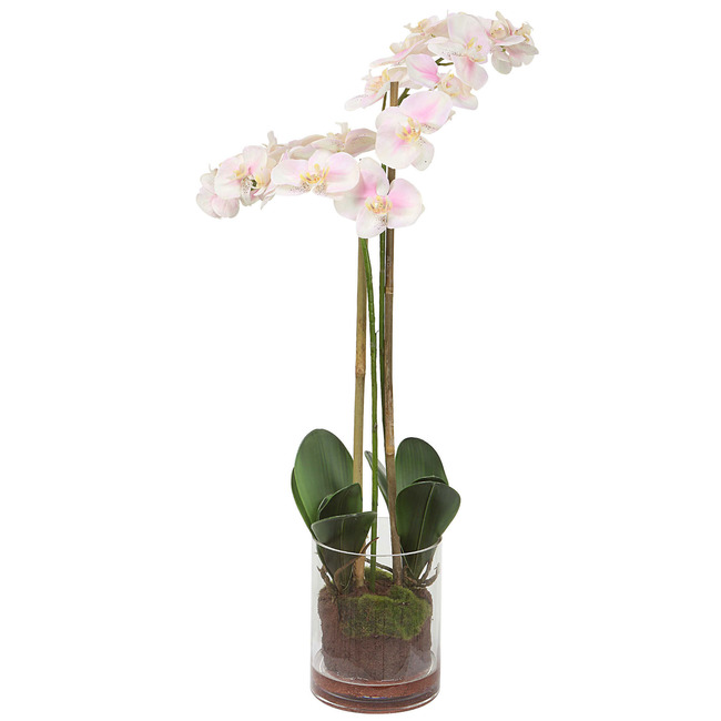 Blush Orchid Centerpiece by Uttermost