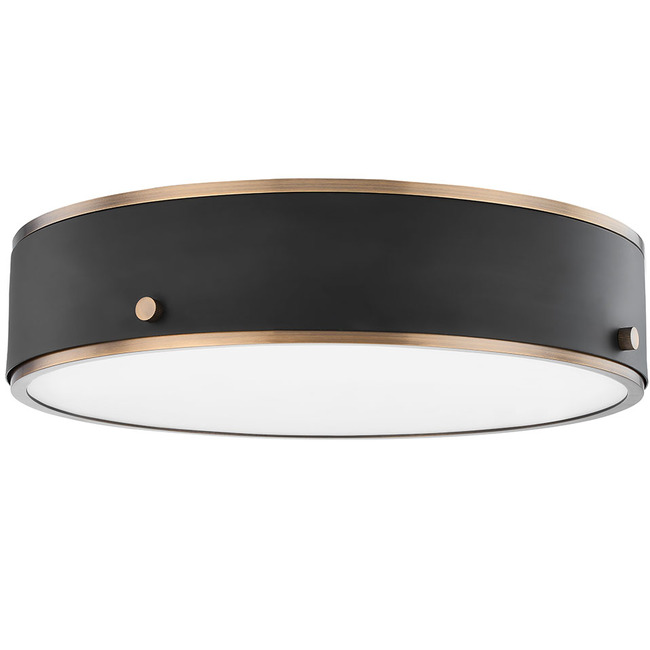 Eli Ceiling Light by Troy Lighting