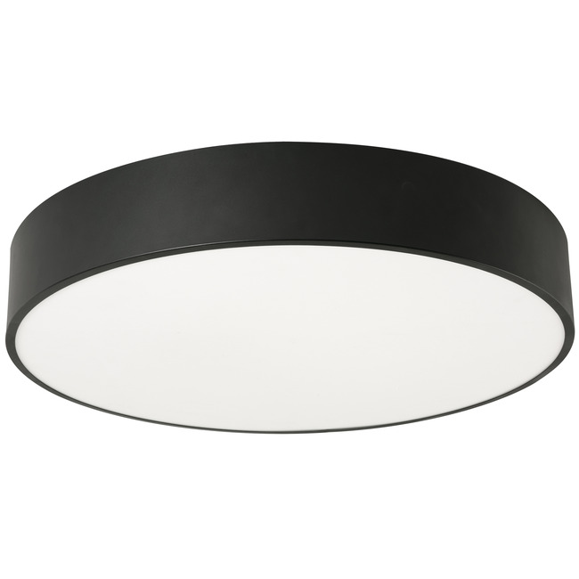 Bailey Color-Select Ceiling Light Fixture by AFX