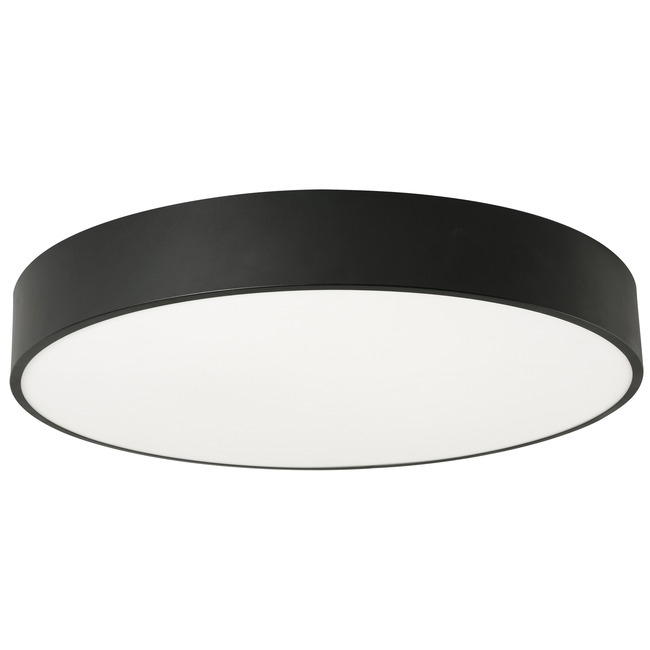 Bailey Color-Select Ceiling Light Fixture by AFX
