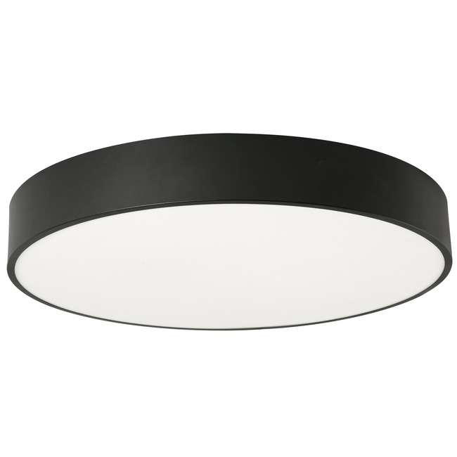 Bailey Color-Select Ceiling Light  by AFX