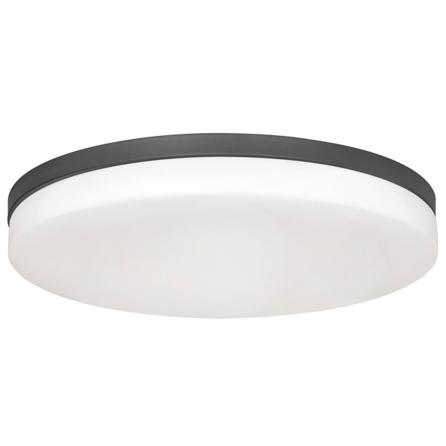 Oscar Color Select Ceiling Light by AFX