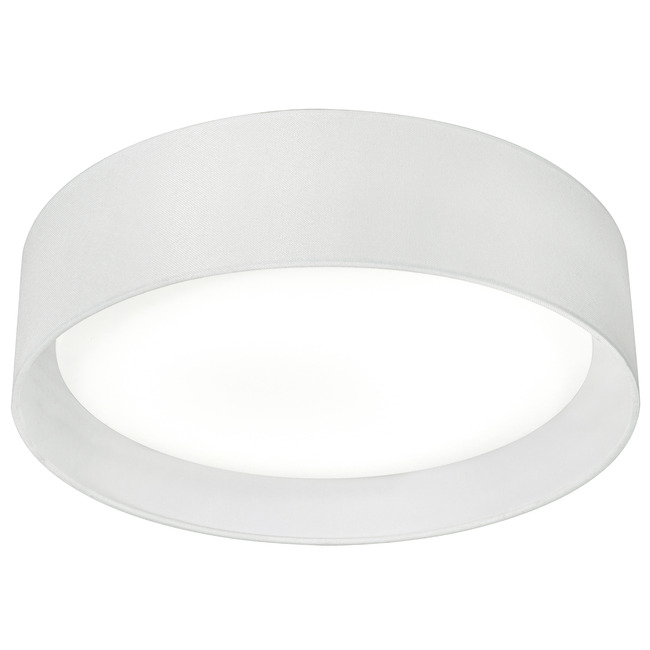 Ally Color-Select Ceiling Light by AFX