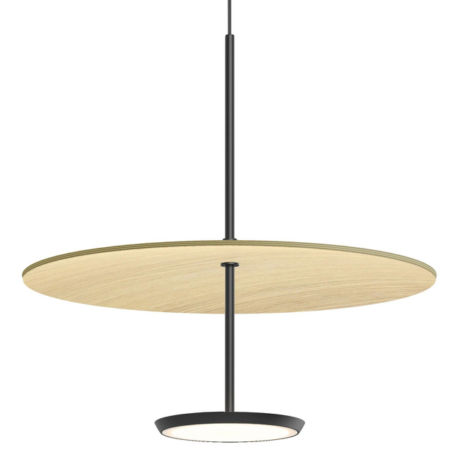 Sky Dome Pendant by Pablo