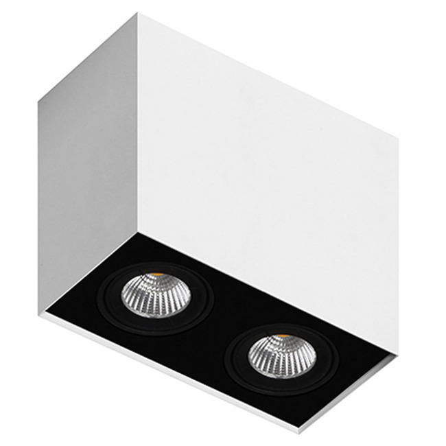 Box 2L 2-Light PAR16 Ceiling Light by Lucitalia