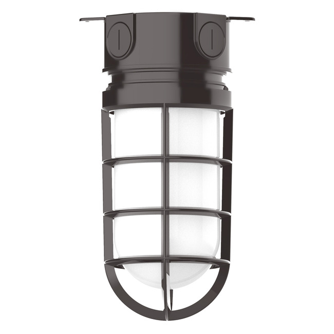 Vaportite Outdoor Ceiling Light Fixture by Montclair Light Works