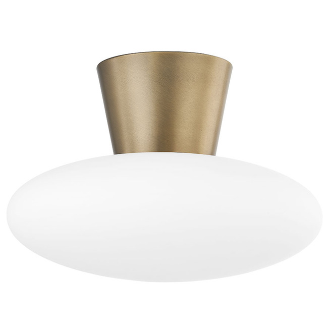 Brody Ceiling Light by Troy Lighting