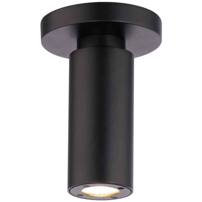 Caliber Outdoor Ceiling Light by WAC Lighting