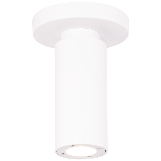 Caliber Outdoor Ceiling Light by WAC Lighting