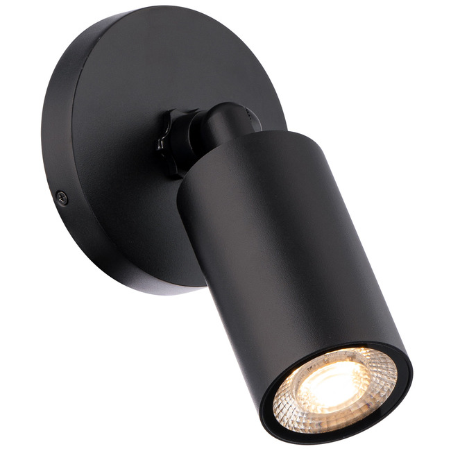 Cylinder Adjustable Outdoor Wall Light by WAC Lighting