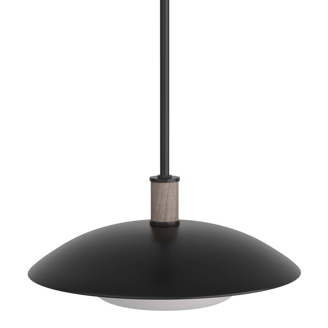 Tobias Pendant by Arteriors Home