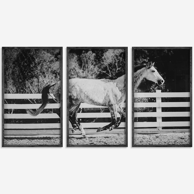 Galloping Forward Equine Prints, Set of 3 by Uttermost