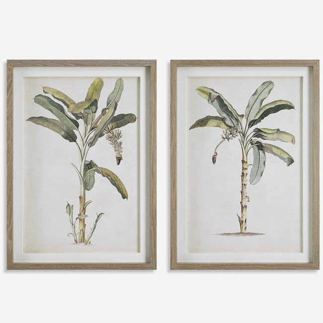 Banana Palm Botanical Prints, Set of 2 by Uttermost