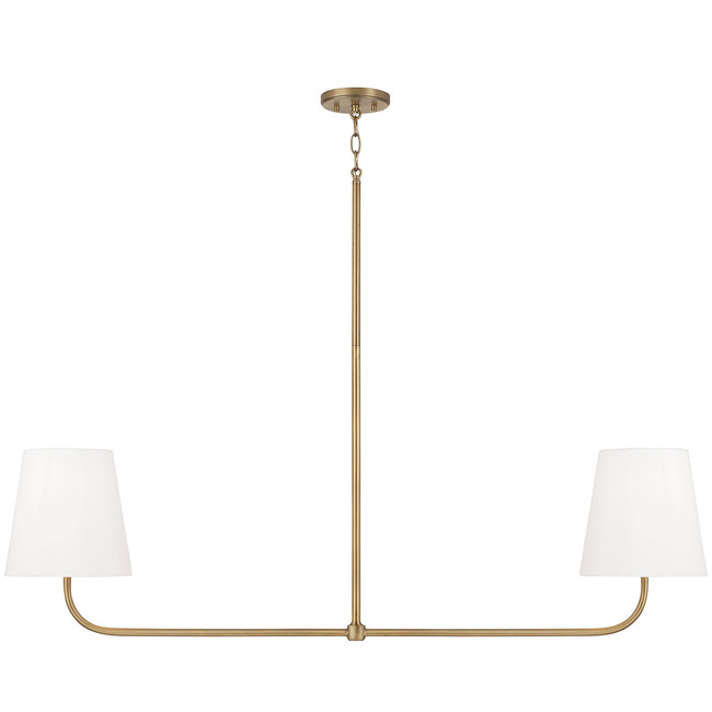 Brody Linear Pendant by Capital Lighting
