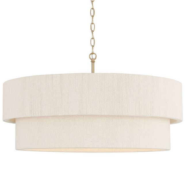 Delaney Pendant by Capital Lighting