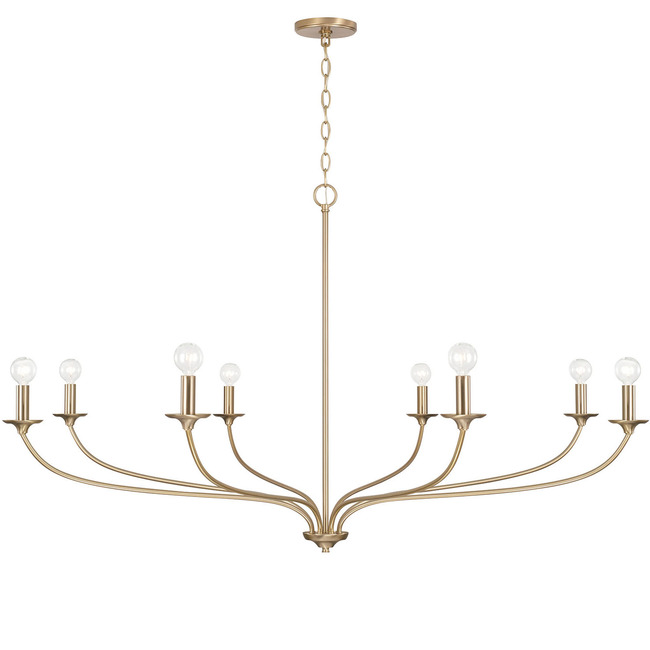 Dolan Chandelier by Capital Lighting