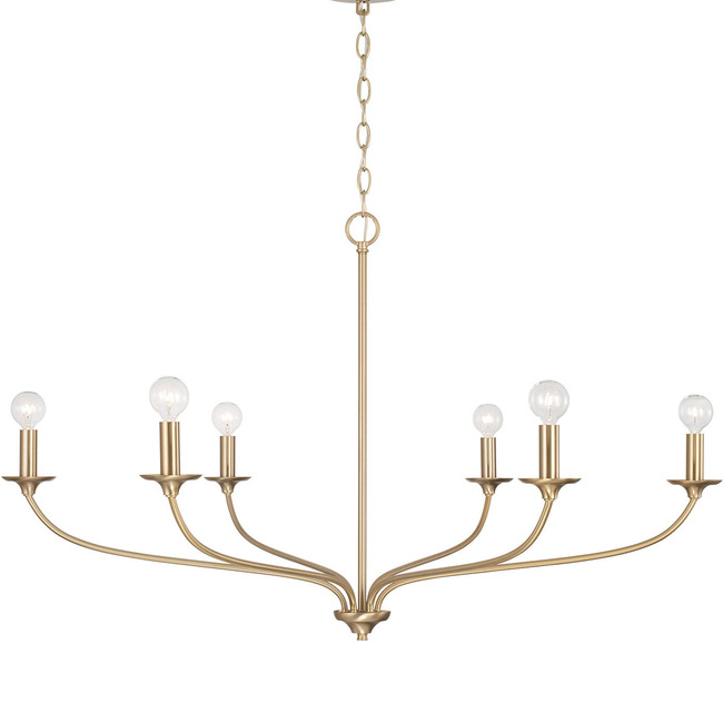 Dolan Chandelier by Capital Lighting