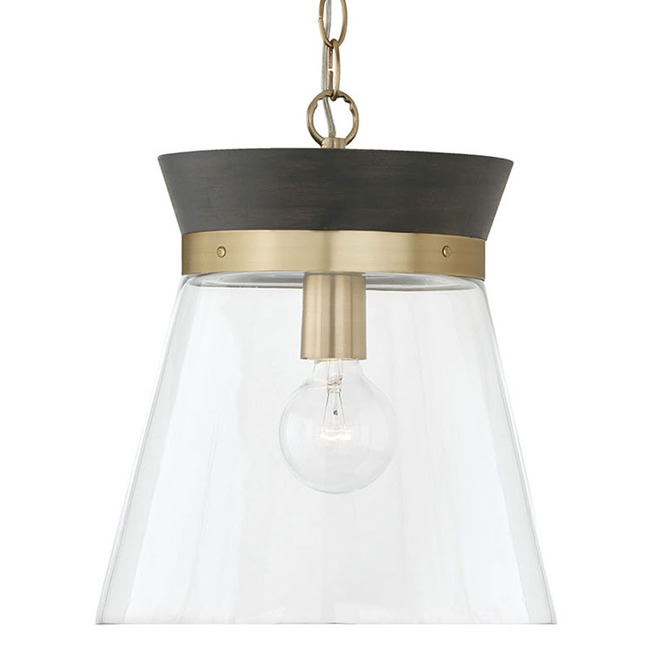 Finn Pendant by Capital Lighting