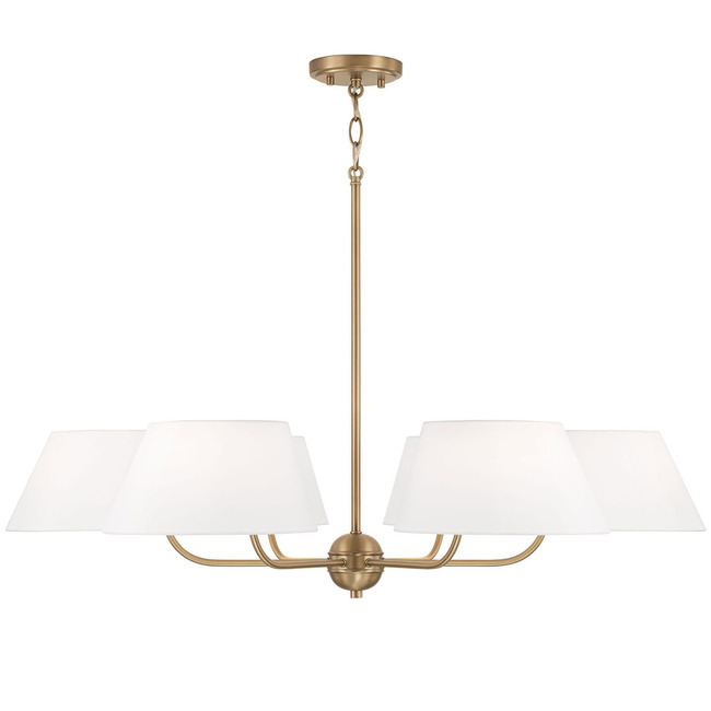 Welsley Chandelier by Capital Lighting