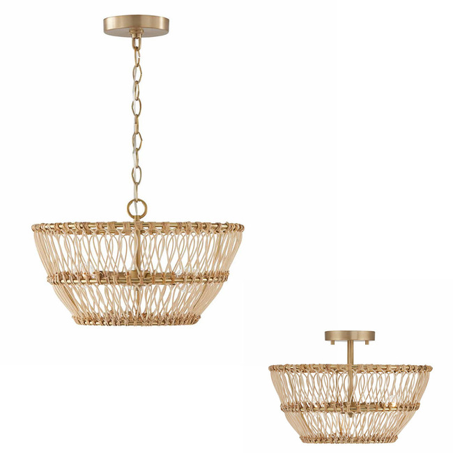 Wren Dual Mount Pendant by Capital Lighting