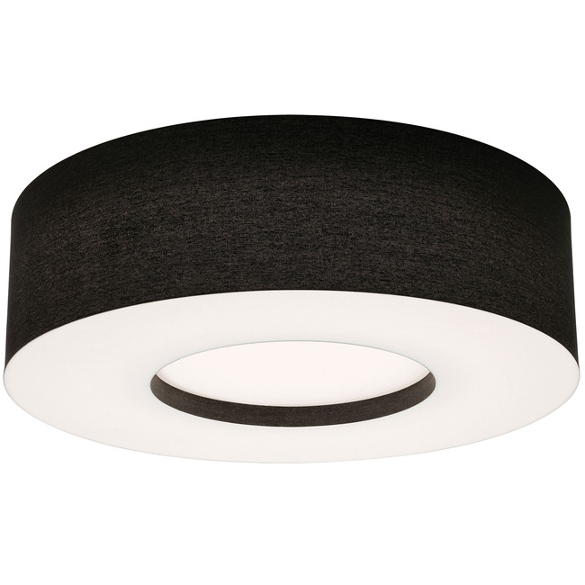 Montclair Ceiling Light by AFX