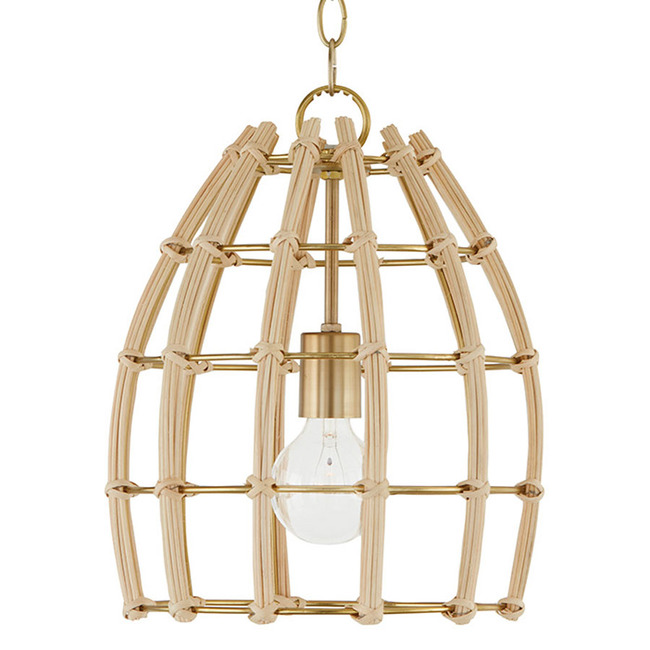 Wren Dome Pendant by Capital Lighting